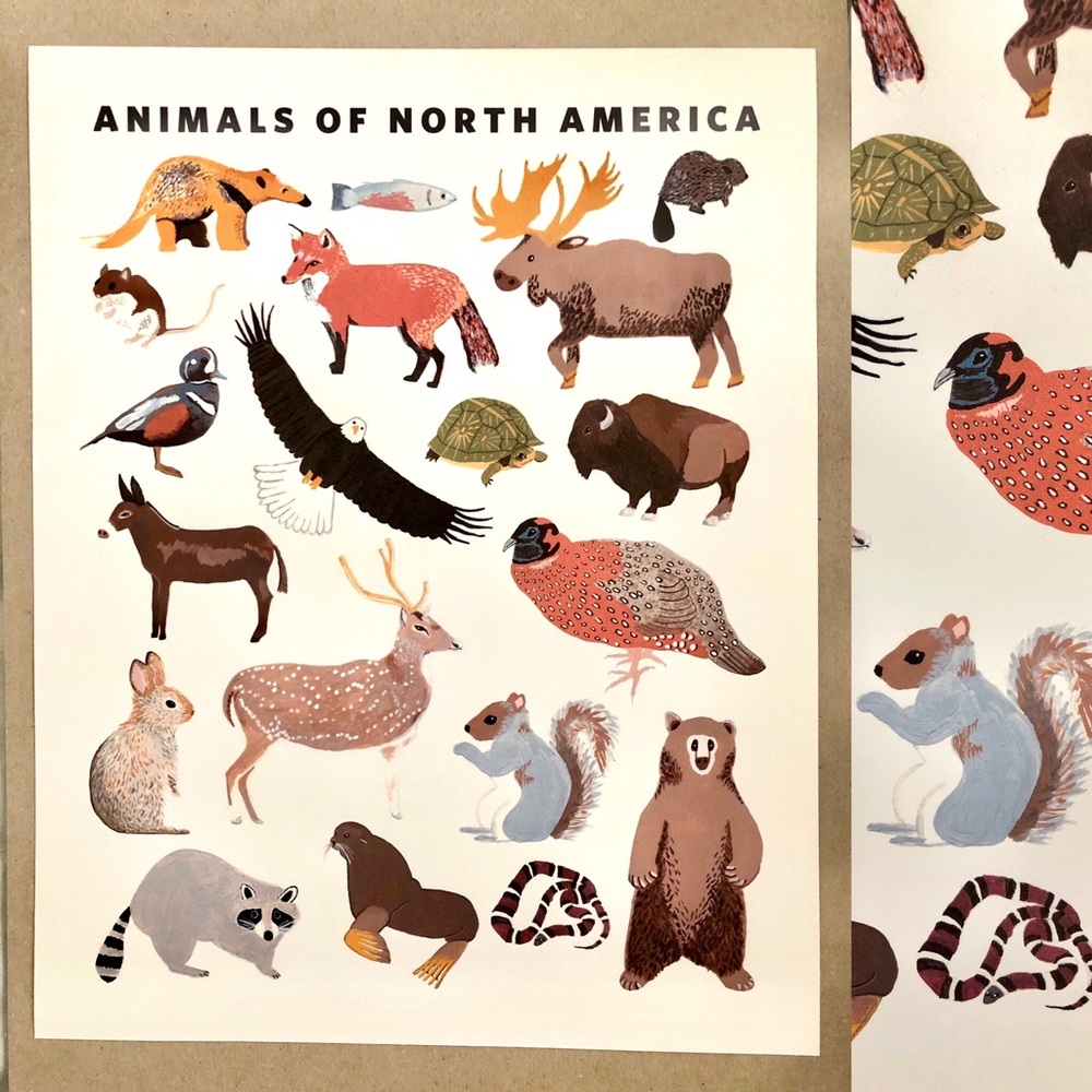 11x14” Animals of North America art print